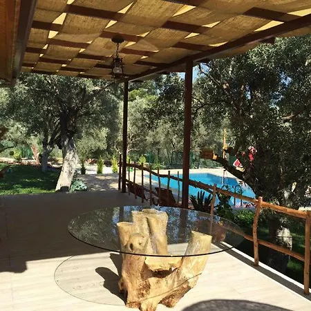 Mountain Hut 1 Akyaka Gokova Holiday home *